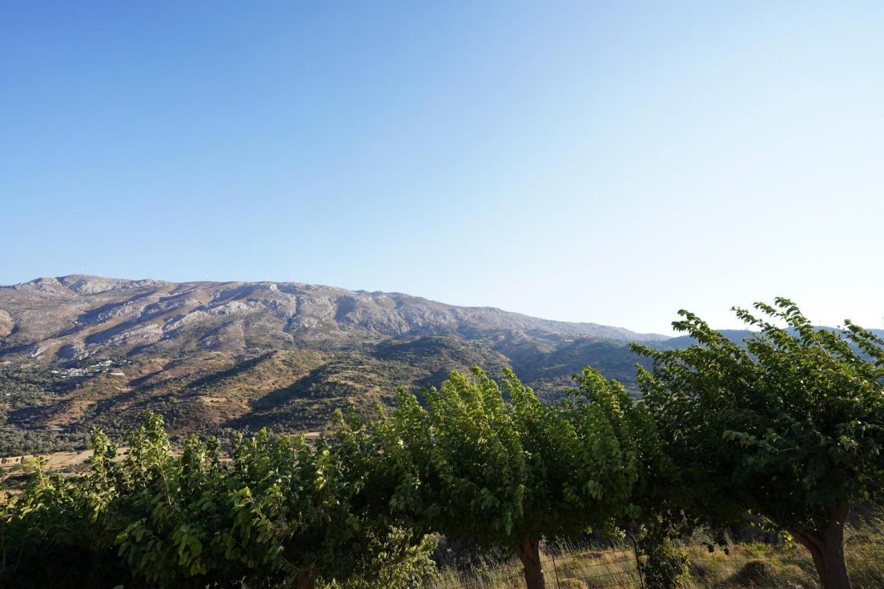 Villa Tzekos Kendrochori Bagian luar foto