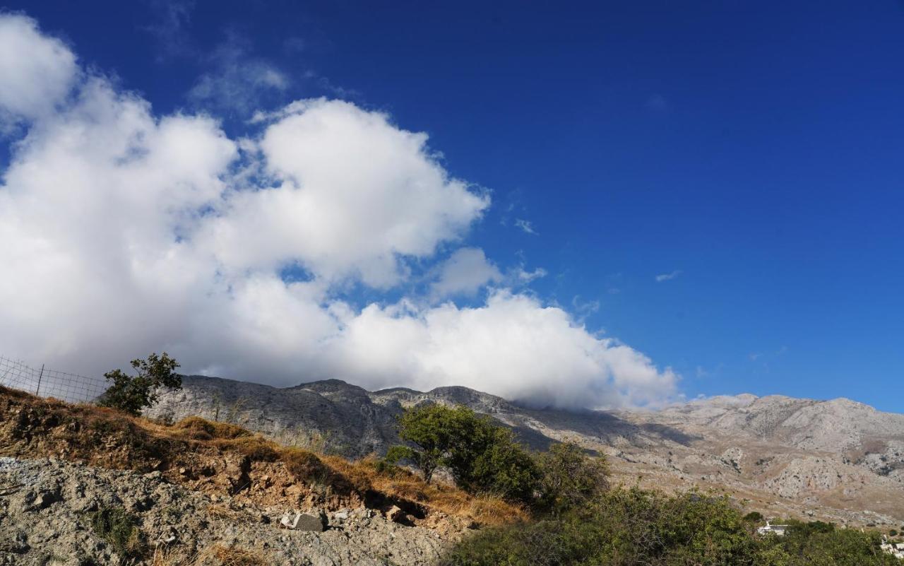Villa Tzekos Kendrochori Bagian luar foto